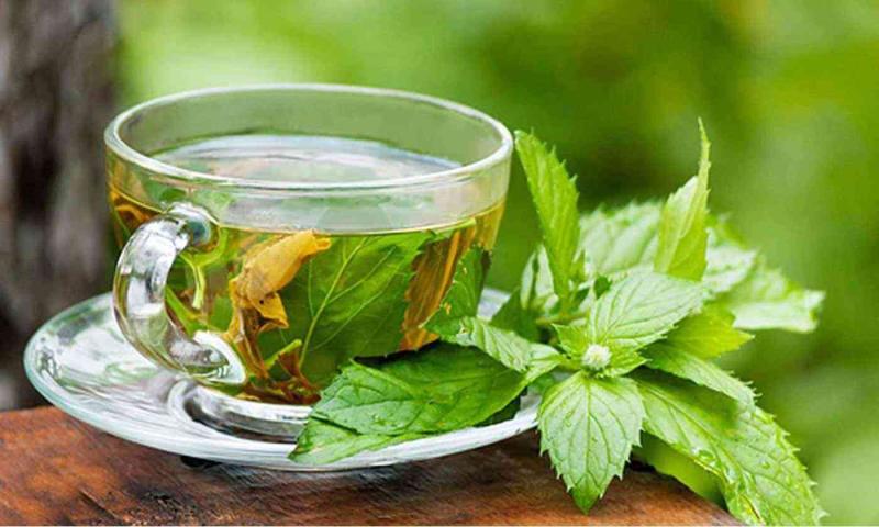 فوائد مذهلة للشاي الأخضر.. تعرف عليها