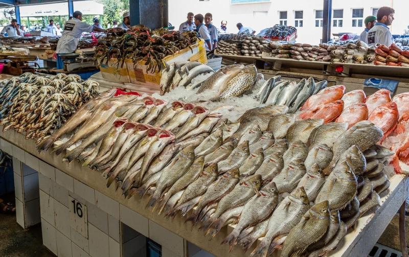 أسعار الأسماك اليوم بسوق العبور للجملة