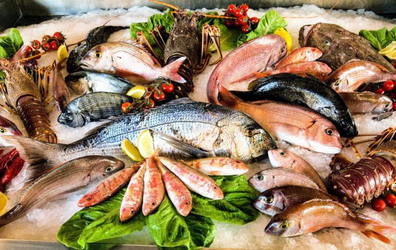 سعر السمك اليوم في سوق العبور للجملة