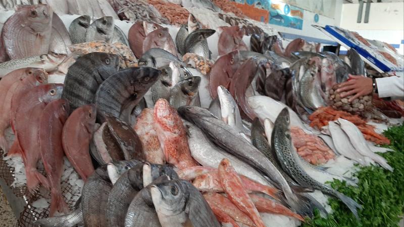 أسعار السمك اليوم في سوق العبور للجملة