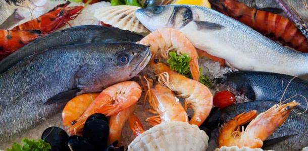 أسعار الأسماك اليوم بسوق العبور