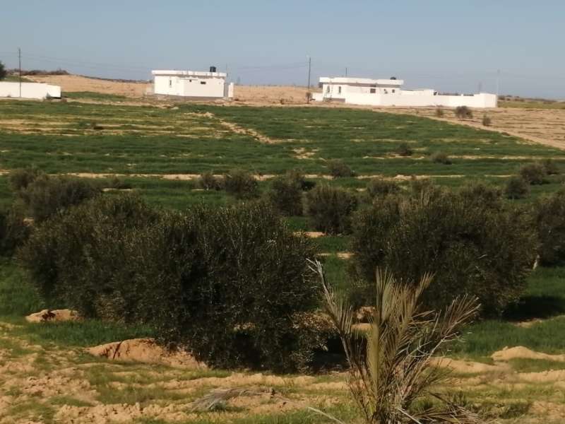 استصلاح الأراضي