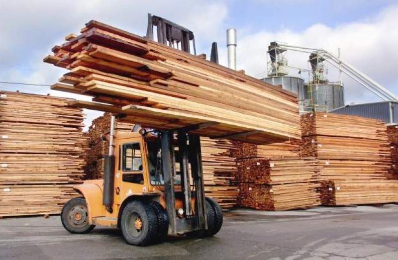غرفة الأخشاب: انخفاض الأسعار 10%.. ونتحول نحو التصنيع للمكملات الصناعية