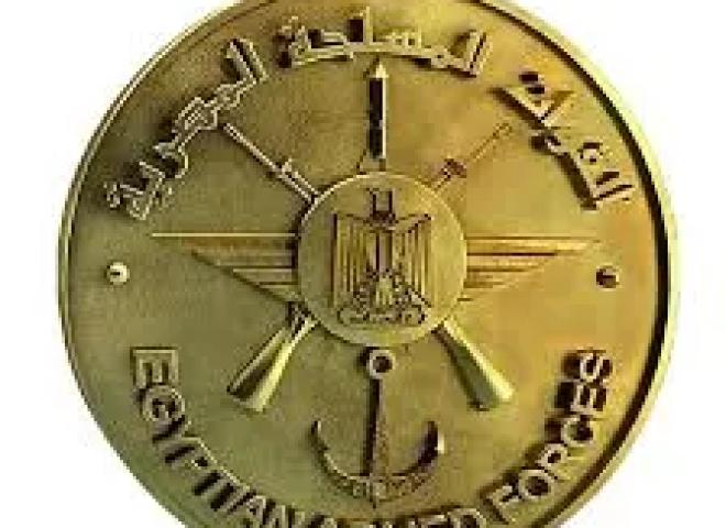 الجيش المصري يعلن سقوط طائرة تدريب.. ما السبب