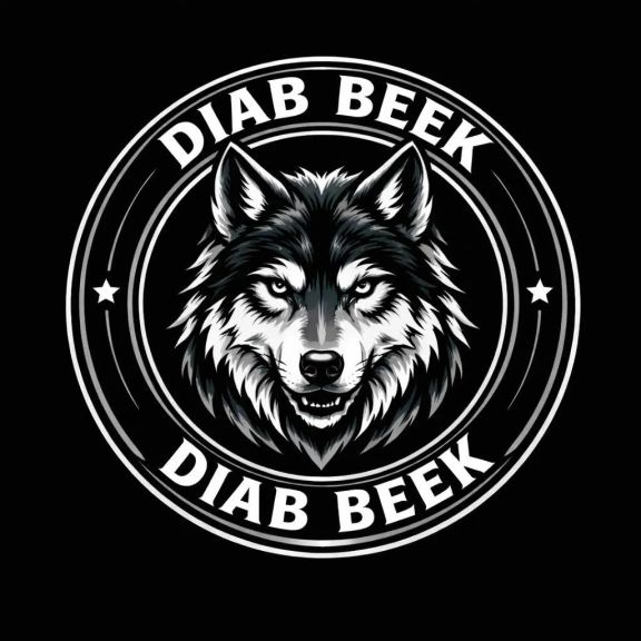 يقدم حلولاً مبتكرة في طباعة التيشيرتات والهودي بجودة عالية DIAB BEEK